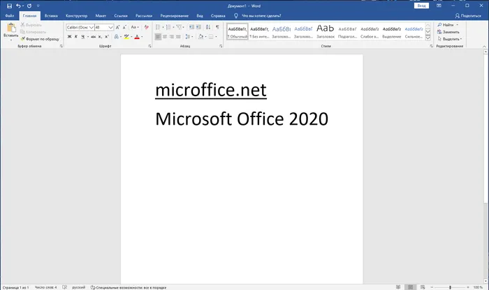 Microsoft Office 2020